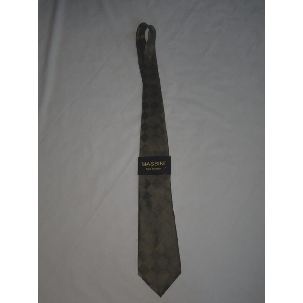 NWT Massini Silk Tie Stain Resistant -0812T20